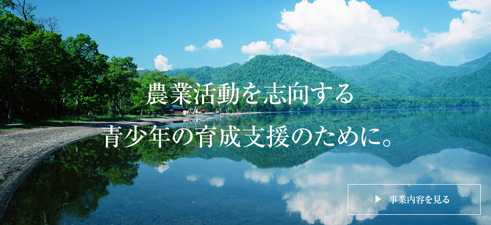 事業内容を見る