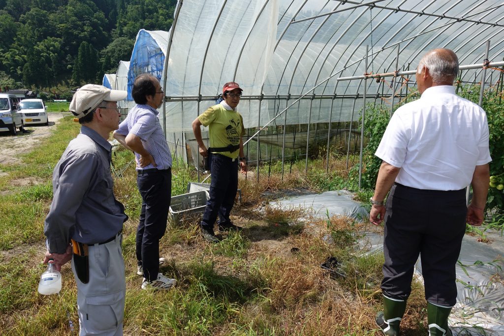 研修生の圃場を視察し、現況を聞いた